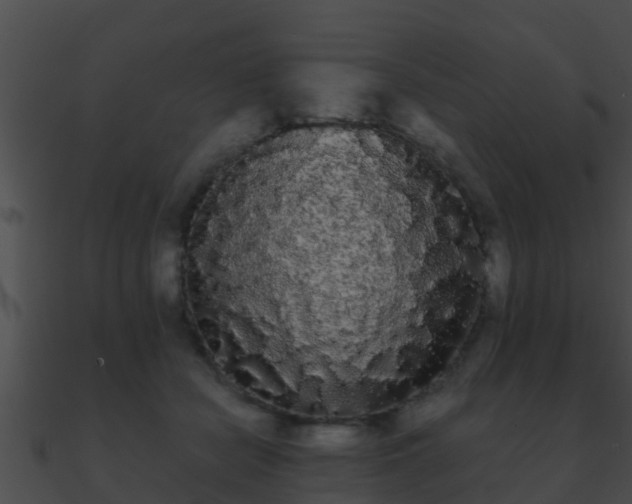 X0000090860462200708030951
