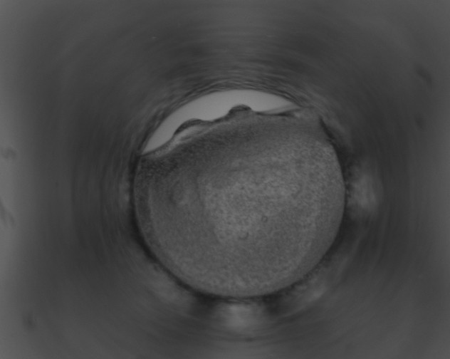 X0000090860466200708030951