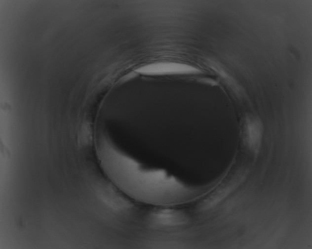 X0000090860467200708030951