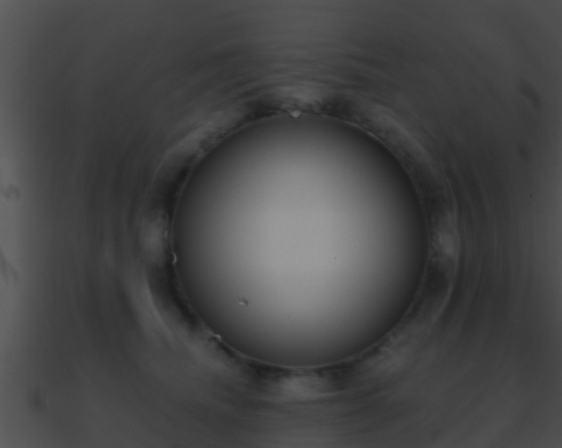 X0000090860468200708030951