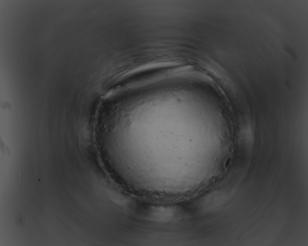 X0000090860469200708030951