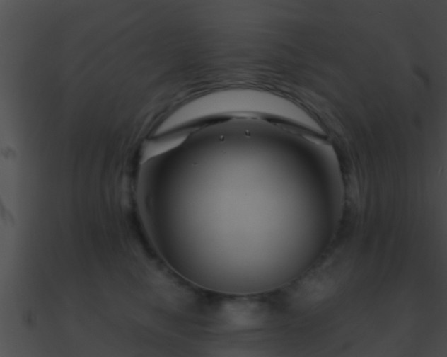 X0000090860470200708030951