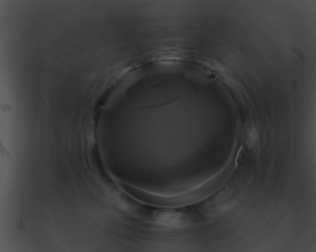 X0000090860471200708030951