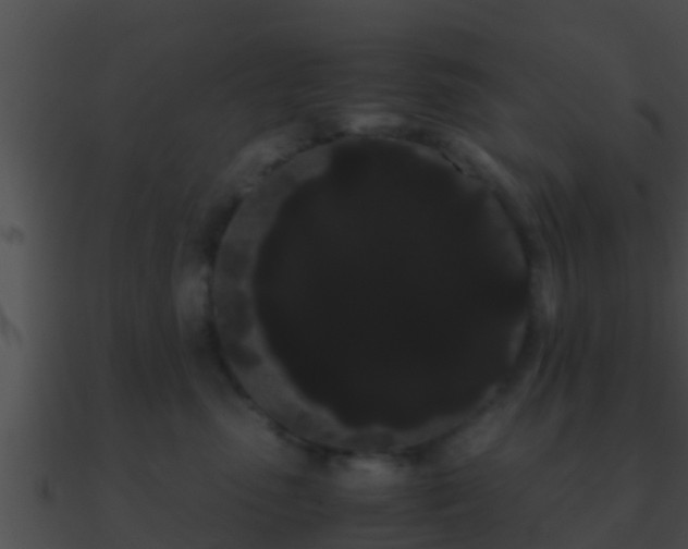X0000090860475200708030951