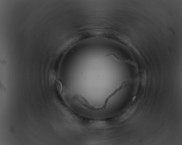 X0000090860476200708030951