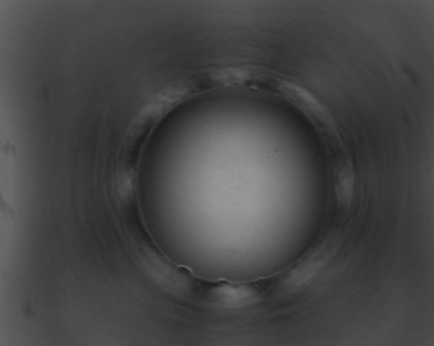 X0000090860477200708030951