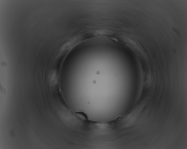 X0000090860478200708030951