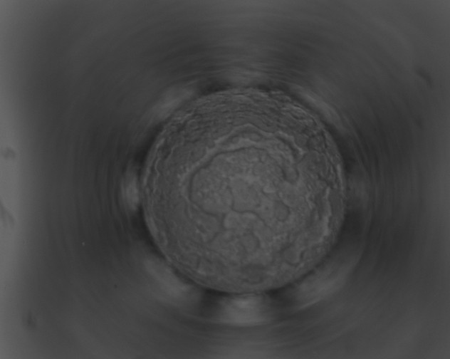X0000090860479200708030951
