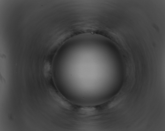 X0000090860480200708030951