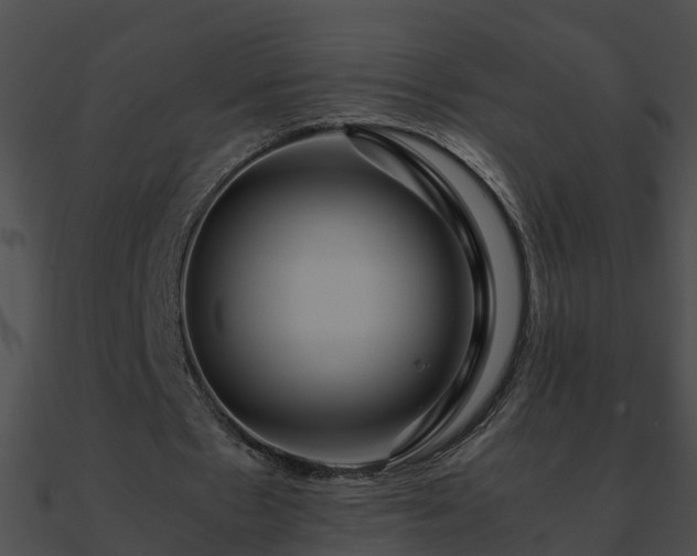 X0000090860481200708030951