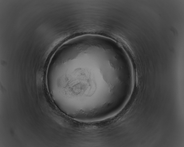 X0000090860483200708030951