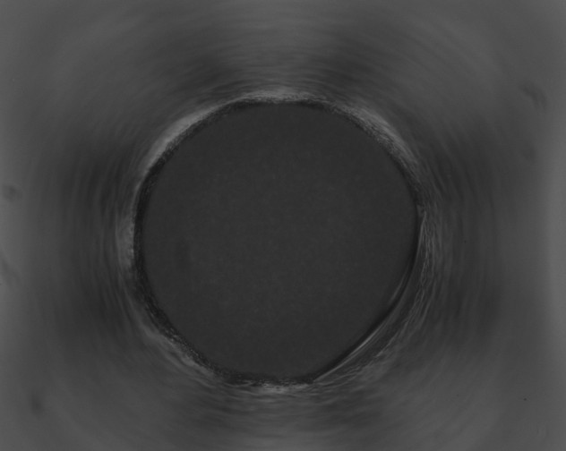 X0000090860484200708030951