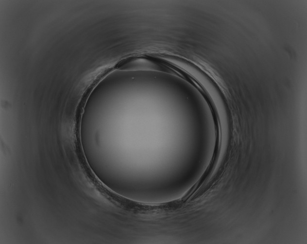 X0000090860485200708030951
