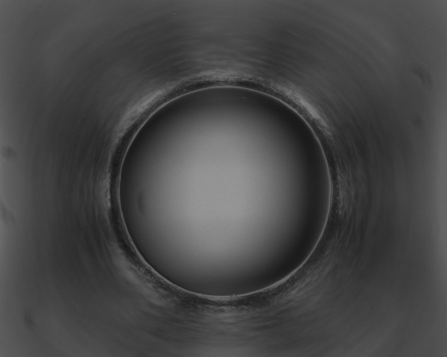 X0000090860486200708030951