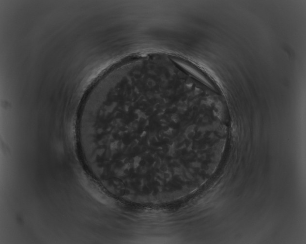 X0000090860487200708030951
