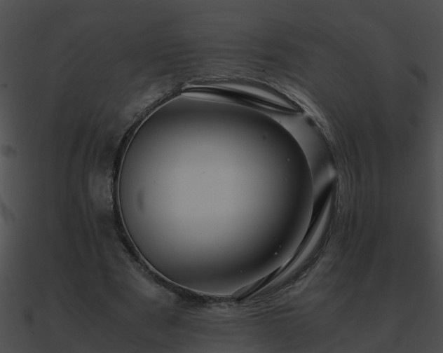 X0000090860489200708030951
