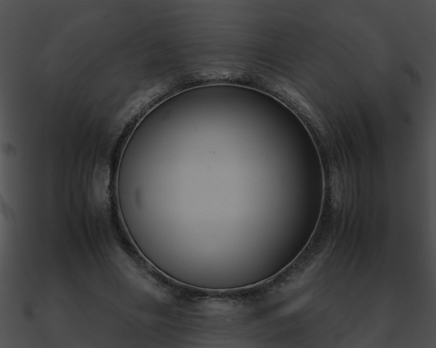 X0000090860490200708030951