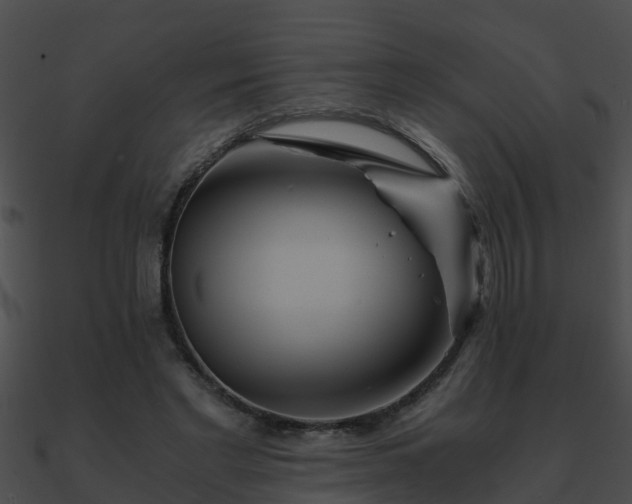 X0000090860493200708030951