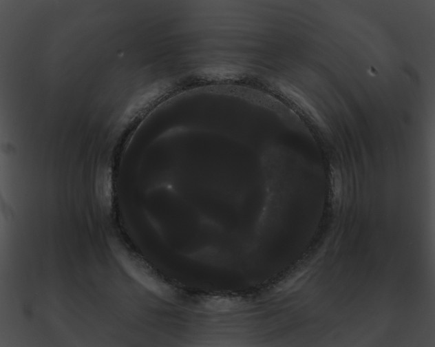 X0000090860494200708030951