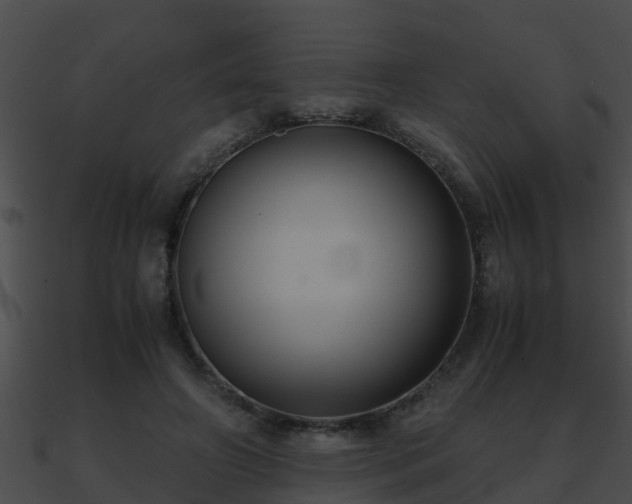 X0000090860498200708030951