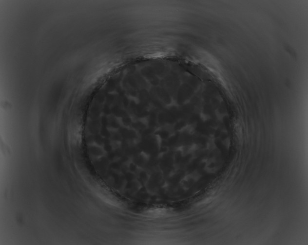 X0000090860499200708030951