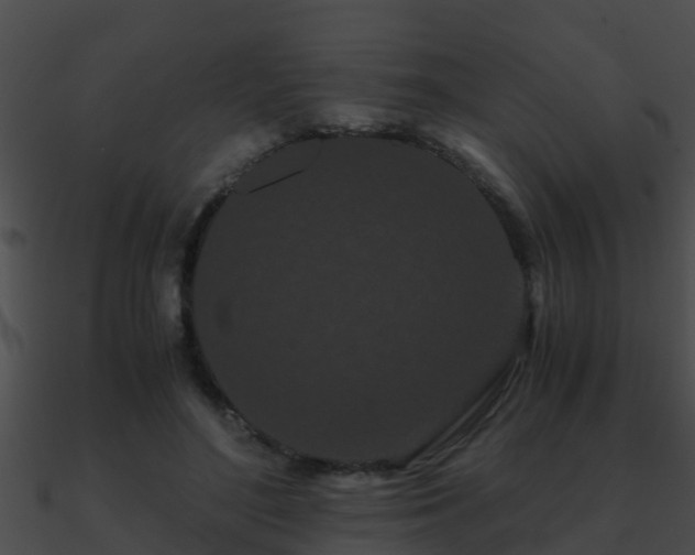 X0000090860500200708030951