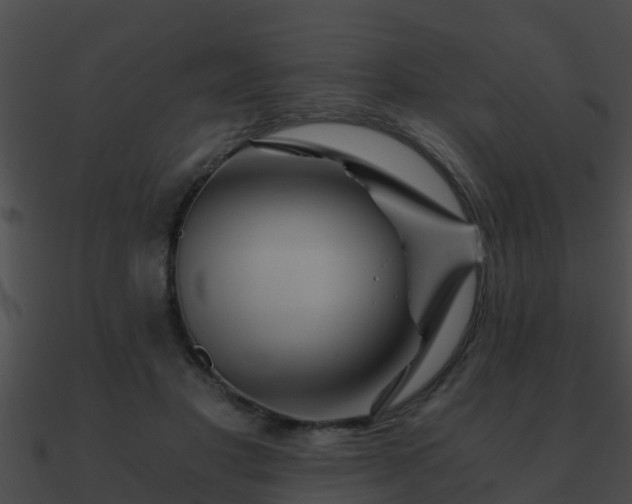 X0000090860501200708030951