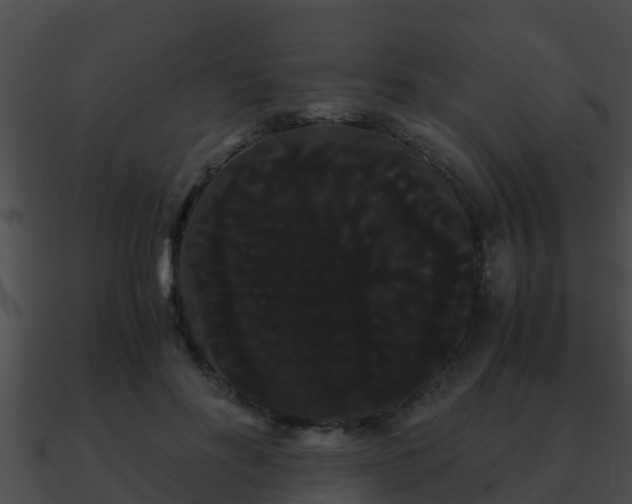 X0000090860502200708030951