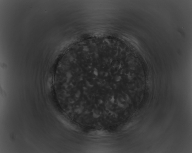 X0000090860503200708030951