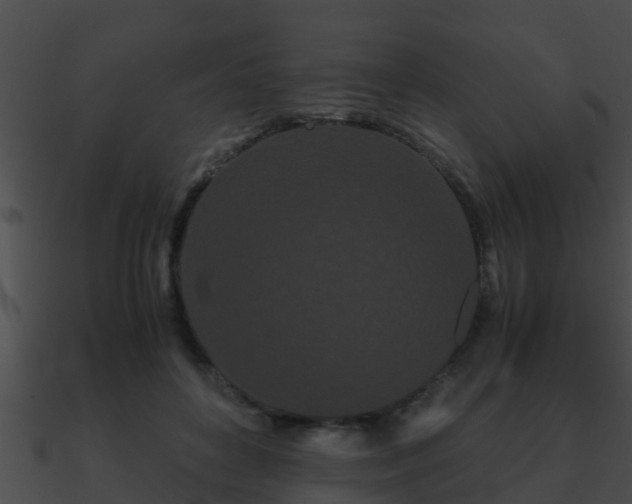 X0000090860504200708030951