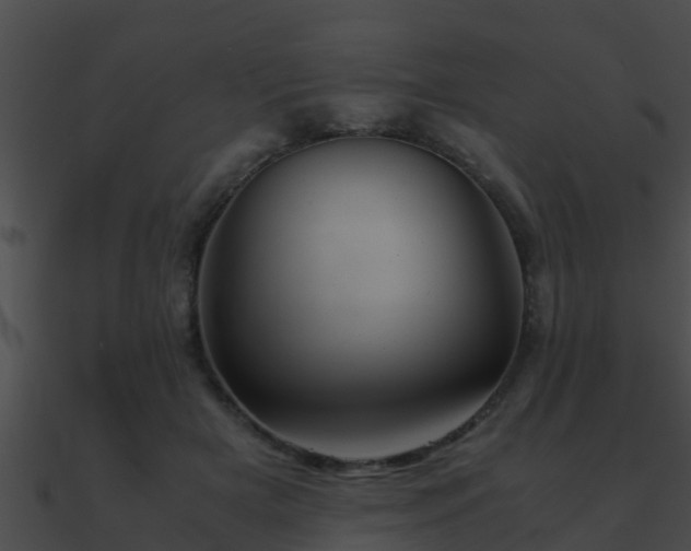 X0000090860505200708030951