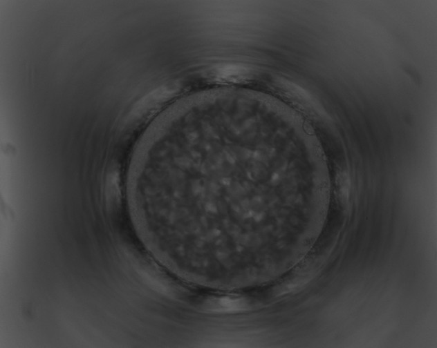 X0000090860506200708030951
