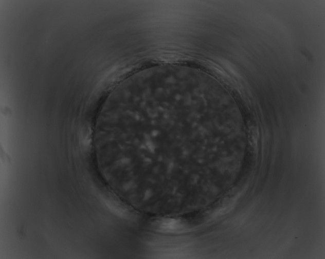 X0000090860507200708030951