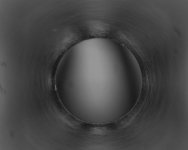 X0000090860508200708030951