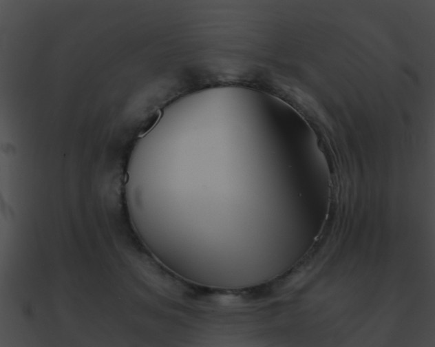 X0000090860509200708030951