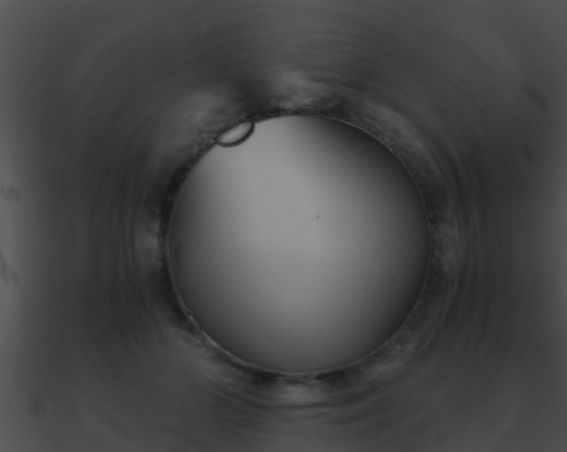 X0000090860510200708030950