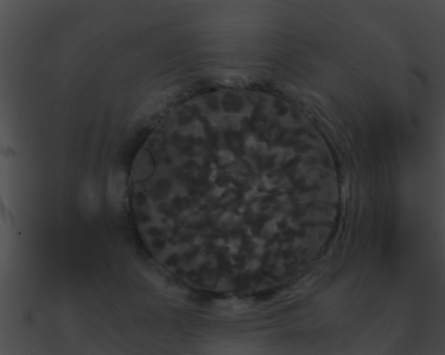 X0000090860511200708030950