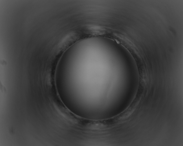 X0000090860512200708030950