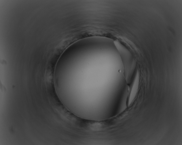 X0000090860513200708030950