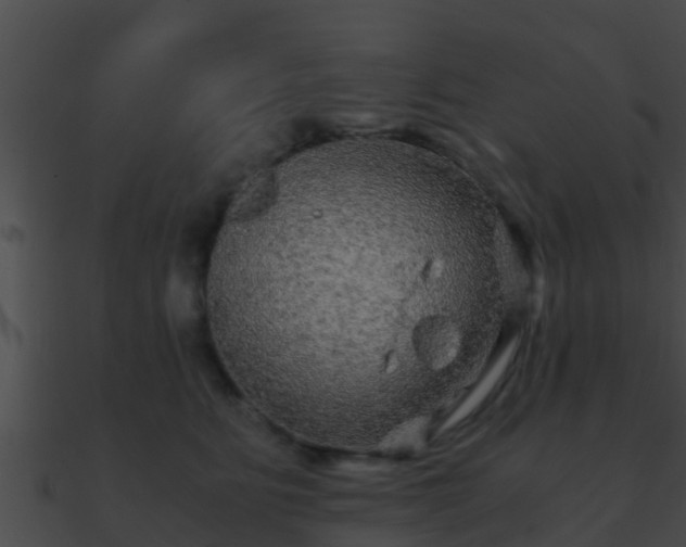 X0000090860515200708030950