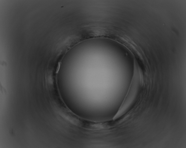 X0000090860516200708030950