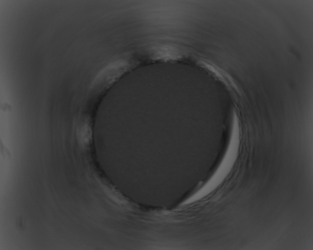 X0000090860517200708030950