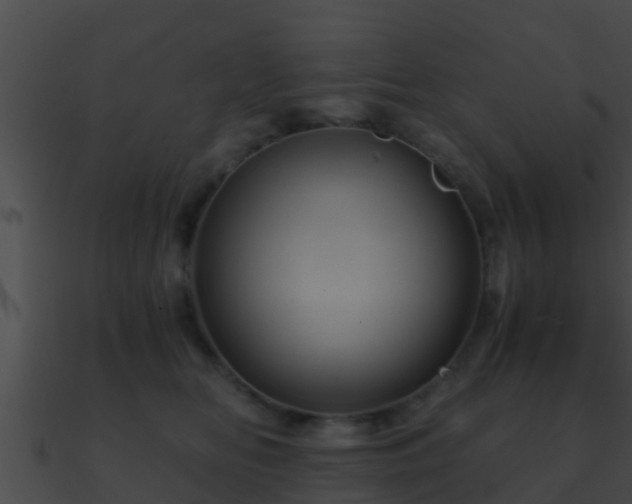 X0000090860518200708030950