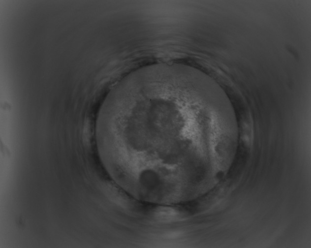 X0000090860519200708030950