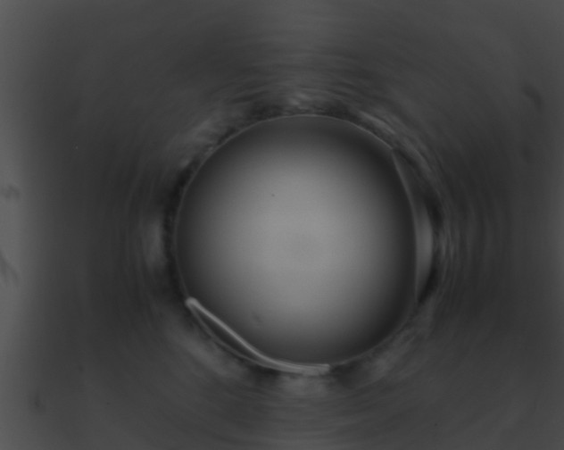 X0000090860520200708030950