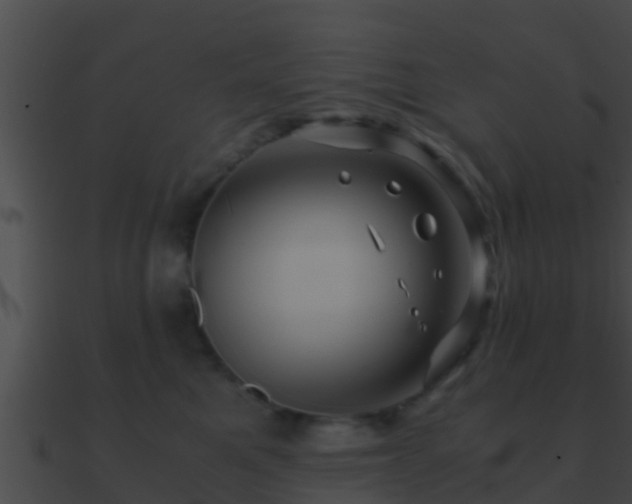 X0000090860521200708030950