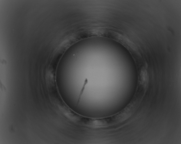 X0000090860522200708030950