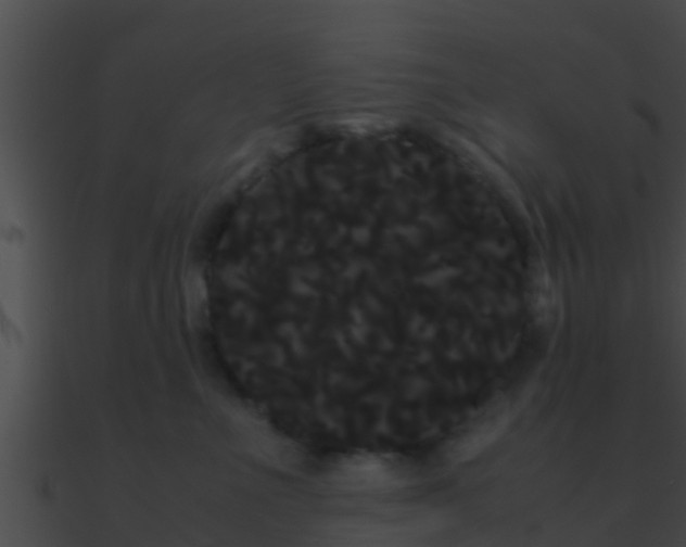 X0000090860523200708030950