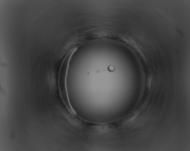 X0000090860524200708030950