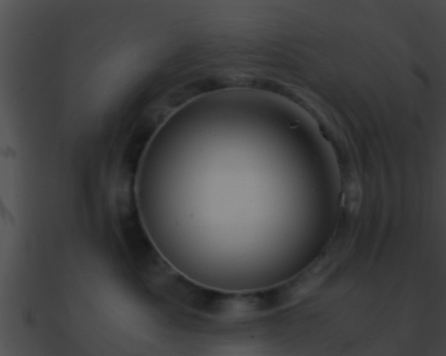 X0000090860525200708030950
